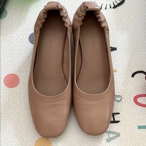 Everlane Women's Classic Brown pumps